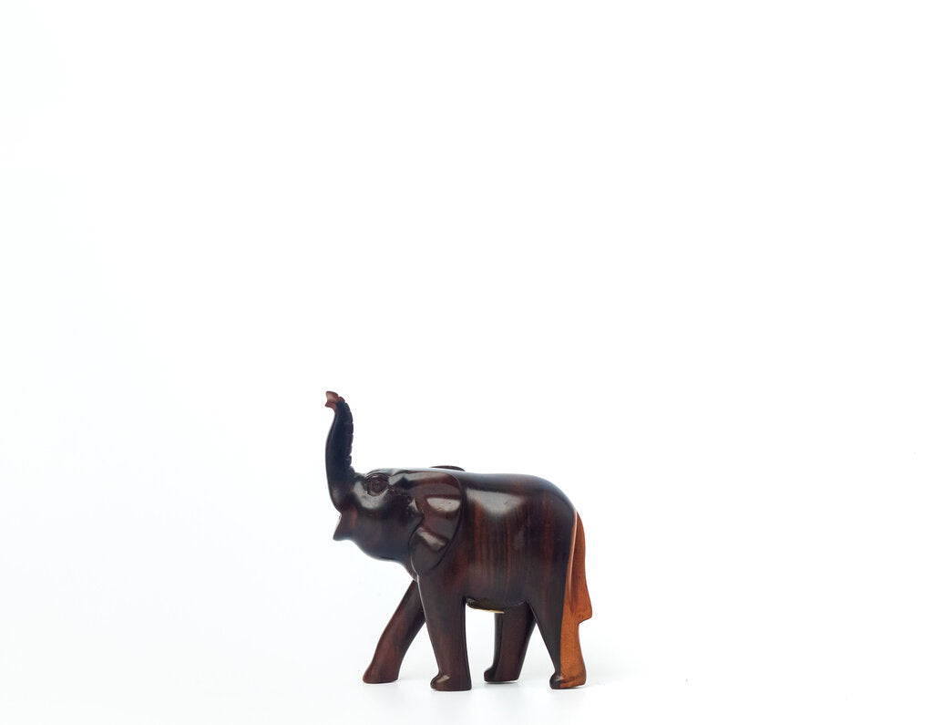 Elephant moyen Tête en Haut